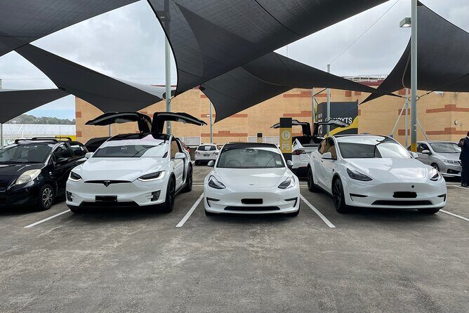 Hire Car and Limousine Service - Why Choose the Hire Car and Limousine Service in Sydney?