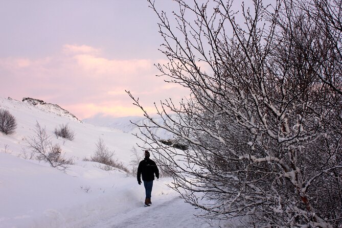 Hire Photographer, Professional Photo Shoot - Reykjavik - Questions and Contact Information