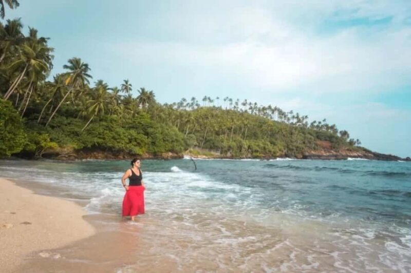 Hiriketiya: Mirissa Beach & Whale Watching Day Trip - Hiriketiya: Mirissa Beach & Whale Watching Day Trip Review