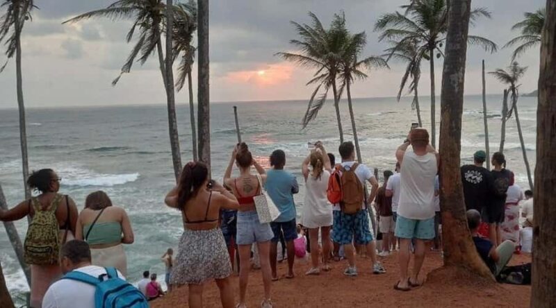 Hiriketiya: Mirissa Beach & Whale Watching Day Trip - Final Thoughts