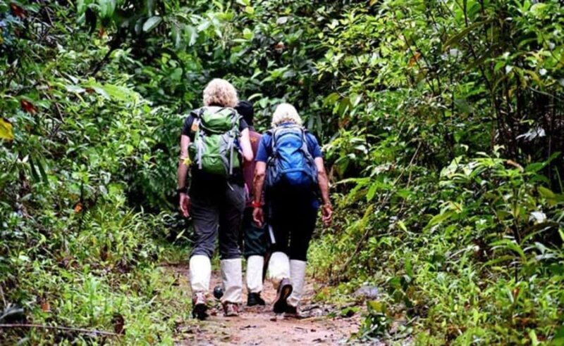 Hiriketiya: Sinharaja Rainforest Guided Day Trip - Good To Know