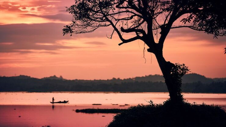 Hiriwaduna Rural Bliss - Booking Details