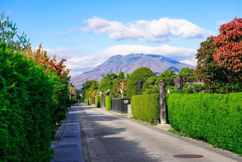 Hirosaki 4hr Private Tour with Government-Licensed Guide - Exploring Hirosaki: A Personal Journey with a Licensed Guide