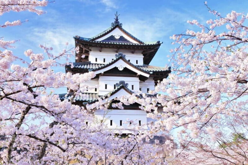 Hirosaki 4hr Private Tour with Government-Licensed Guide - Introduction to Hirosaki and the Tour Experience