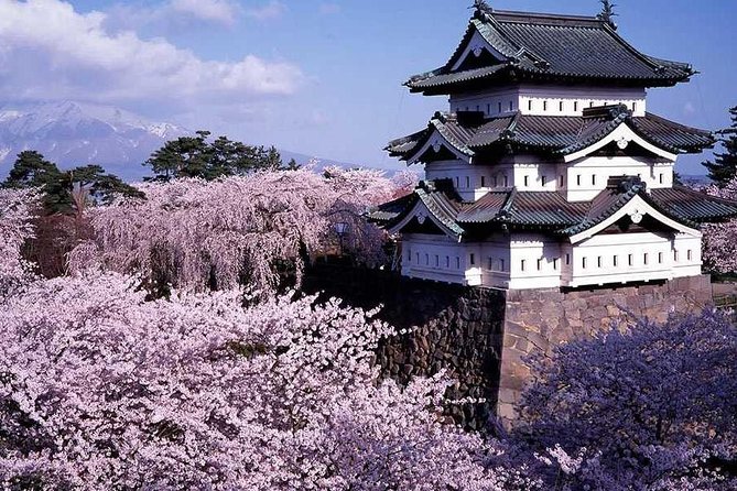 Hirosaki Half-Day Private Tour With Government-Licensed Guide - Private Vehicle Booking