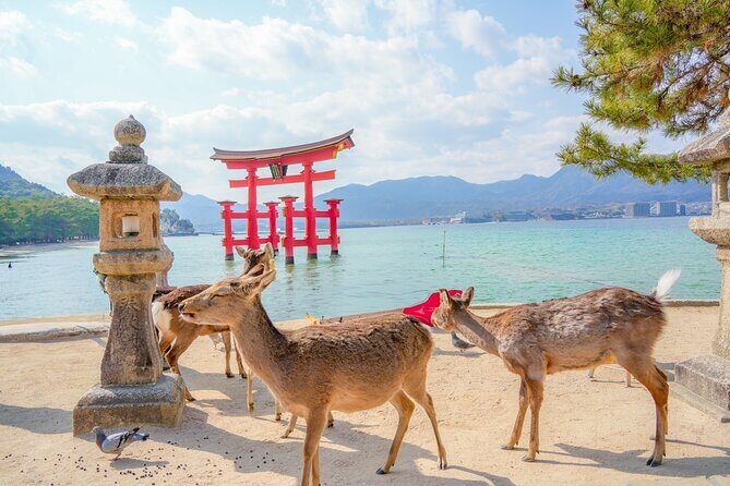 Hiroshima and Miyajima Full-Day Tour from Kyoto by Bullet Train - Authentic Experiences & Review Highlights