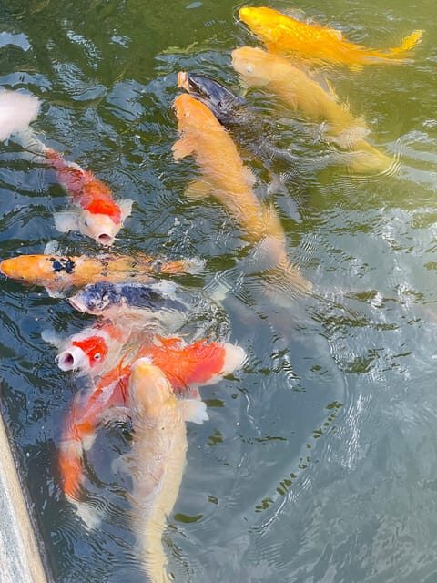 Hiroshima and Miyajima Satisfying Private Tour with a Local - FAQ