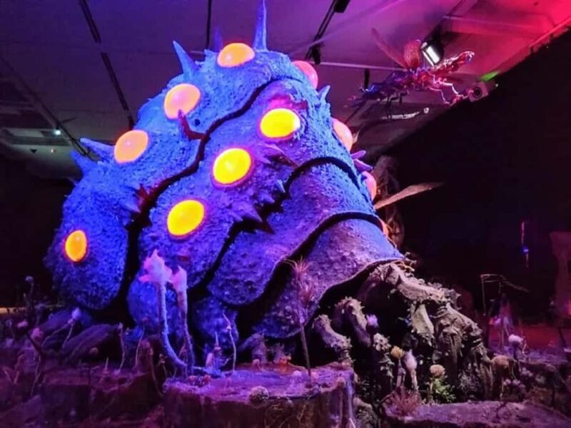 Hiroshima: Art and Hidden Streets Guide Tour - Shukkeien Garden: Slow Beauty and Photography Tips