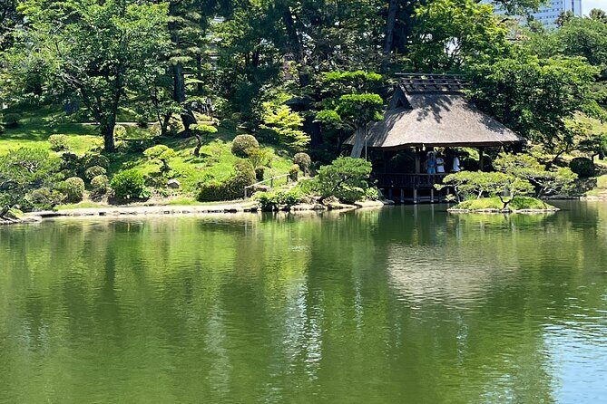 Hiroshima Bike Tour with Lunch - Who This Tour Is Best For