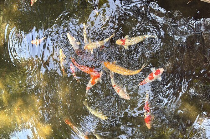 Hiroshima Bike Tour with Lunch - Authenticity and Unique Touches