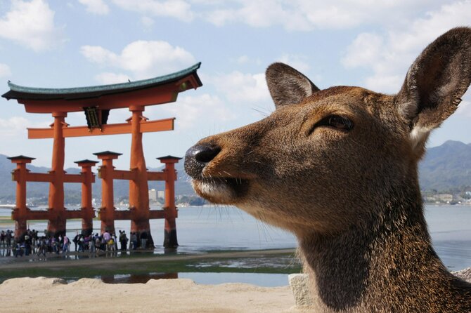 Hiroshima City and Miyajima Bus Tour From Osaka and Kyoto - Booking and Tour Details