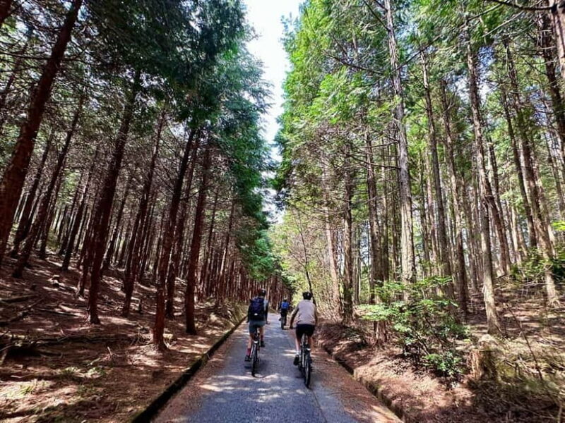 Hiroshima Country Cycling: Explore Rural Life 1 HR from City - The Real Value of the Experience