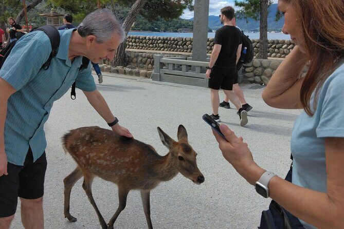 Hiroshima Cruise Pickup : Miyajima & Peace Park Tour with car - FAQ