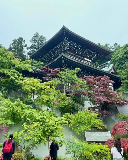 Hiroshima: Explore Miyajima Private Gem Tour W/Local 5hours - Customization and Flexibility