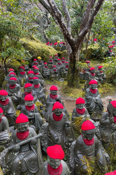 Hiroshima: Explore Miyajima Private Gem Tour W/Local 5hours - Booking Information