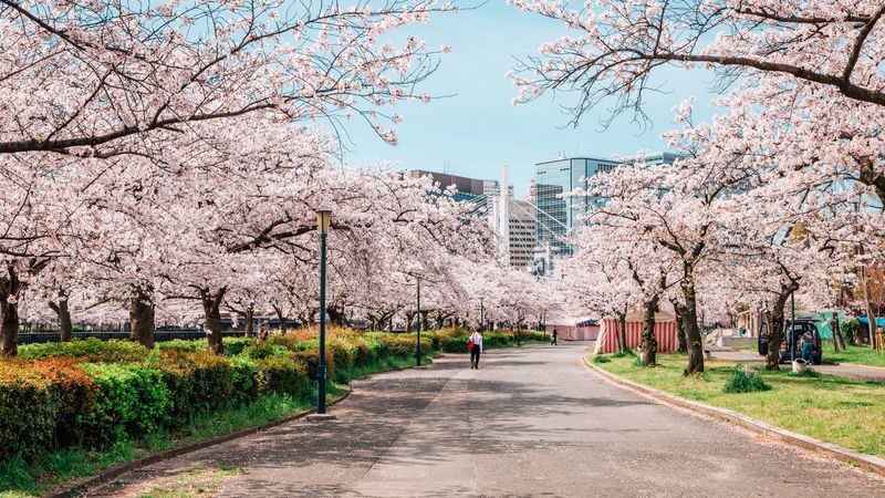 Hiroshima Full-Day Private City Exploration - What to know before you book