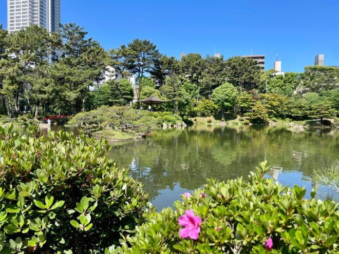 Hiroshima: Highlights Private Gem Tour With Local 3hours - Guest Experiences and Reviews