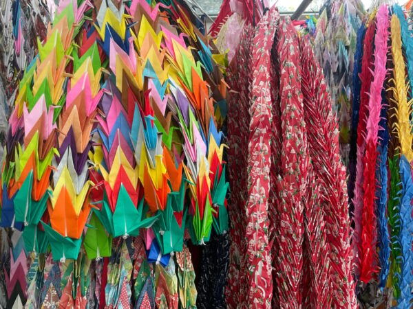 Hiroshima: Highlights Private Gem Tour With Local 3hours - Customization and Flexibility