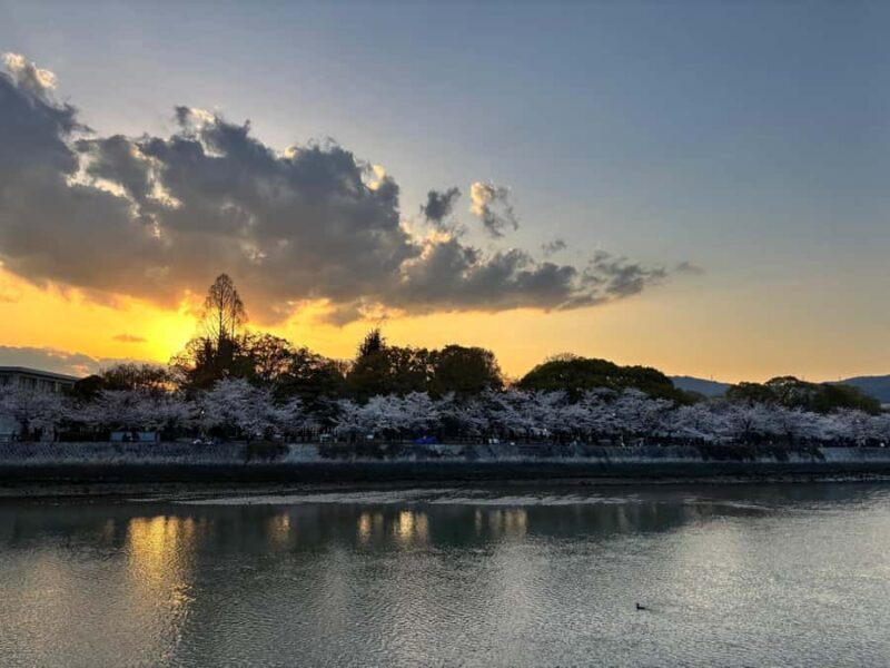 Hiroshima: History and Evening Walk - The Sum Up