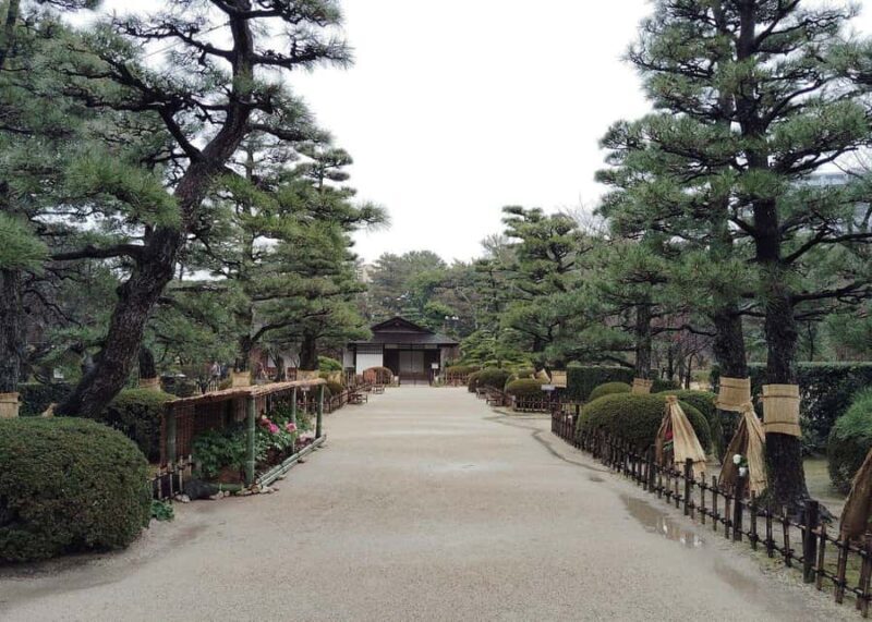 Hiroshima: Island Exploration & Spiritual Journey Tour - Why This Tour Offers Great Value