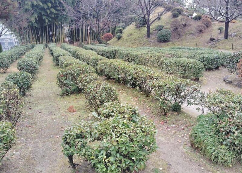 Hiroshima: Island Exploration & Spiritual Journey Tour - Who Should Consider This Tour?