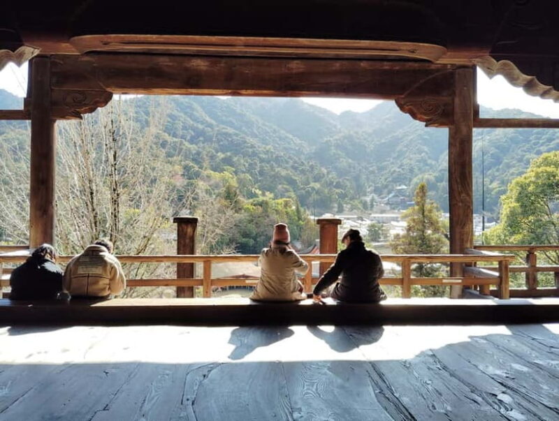 Hiroshima: Itsukushima Shrine and Miyajima Summit Tour - Final Thoughts