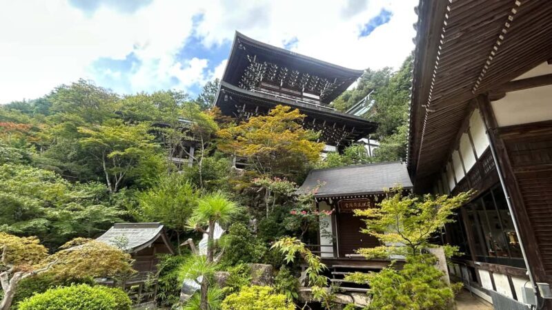 Hiroshima & Miyajima 6.5h Guided Tour  Dome, Park & Shrine - Frequently Asked Questions  