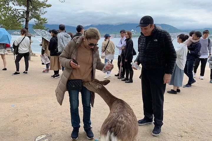 Hiroshima / Miyajima 8hr Private Tour with Government Licensed Guide - What the private format adds