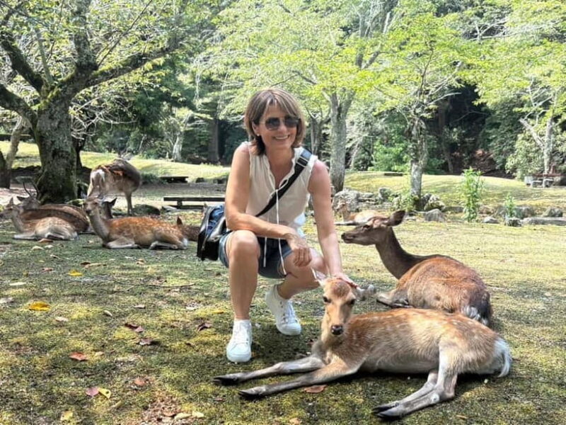 Hiroshima: Miyajima Island Half-Day Tour with Guide - Good To Know