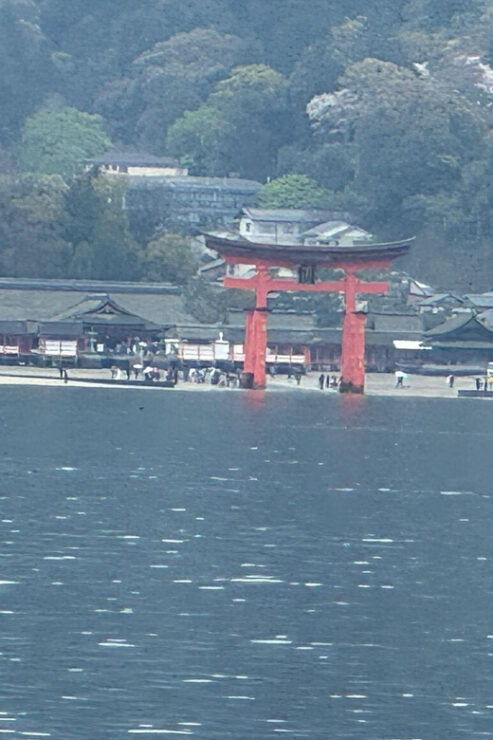 Hiroshima Miyajima Park - Good To Know
