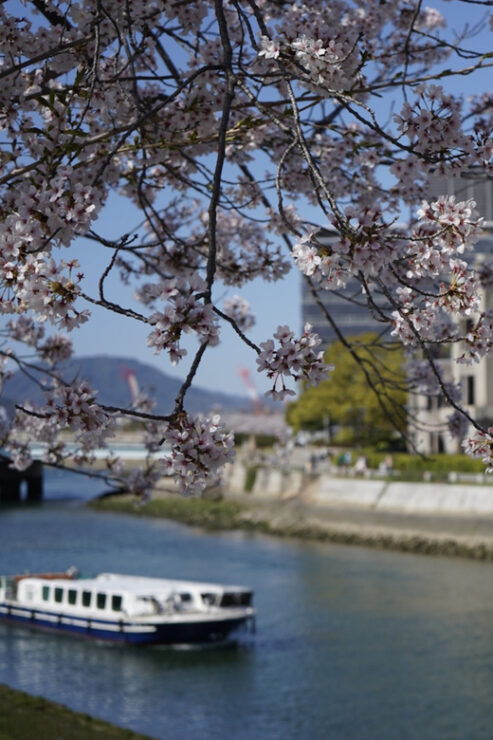 Hiroshima/Miyajima Private Custom Tour With Local Guide - Good To Know