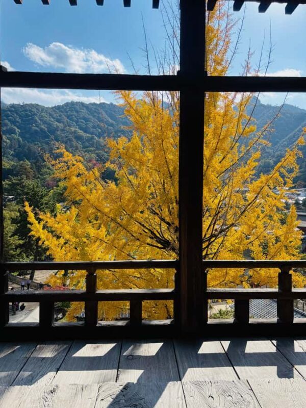 Hiroshima: Miyajima Private Tour with Ferry Ride - Good To Know