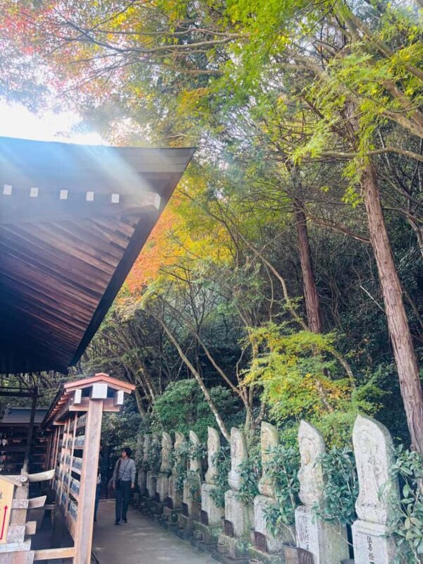 Hiroshima: Miyajima Private Tour with Ferry Ride - FAQ