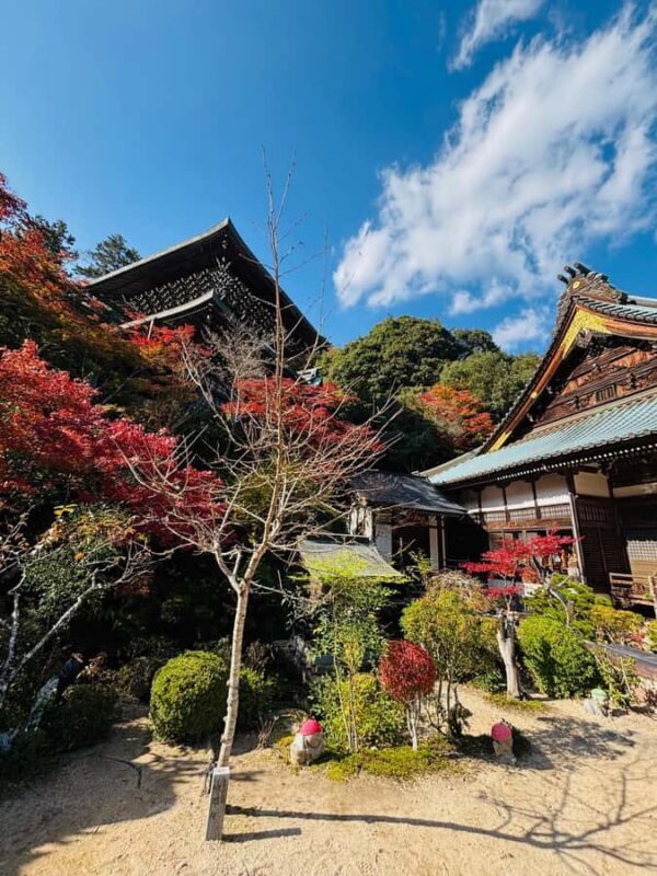 Hiroshima: Miyajima Private Tour with Ferry Ride - Detailed Breakdown of the Tour