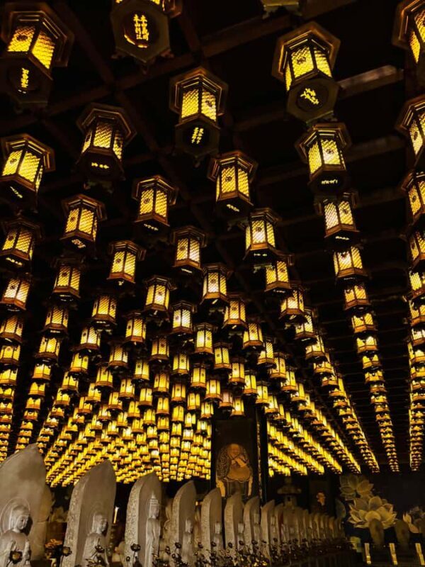 Hiroshima: Miyajima Private Tour with Ferry Ride - The Sum Up