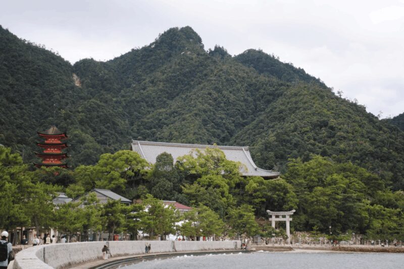 Hiroshima & Miyajima tour with English/Spanish Speaker Guide - Good To Know