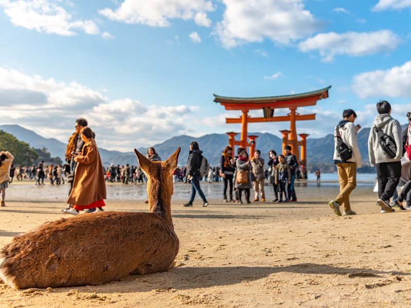 Hiroshima & Miyajima with Ferry and optional bullet train - The day at a glance