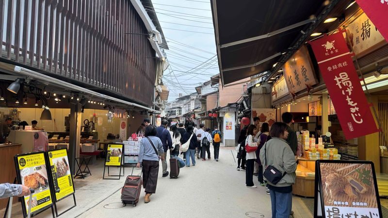 Hiroshima Peace Memorial Museum & Miyajima Itsukushima Shrine One-day Bus Tour - At the Peace Memorial Museum