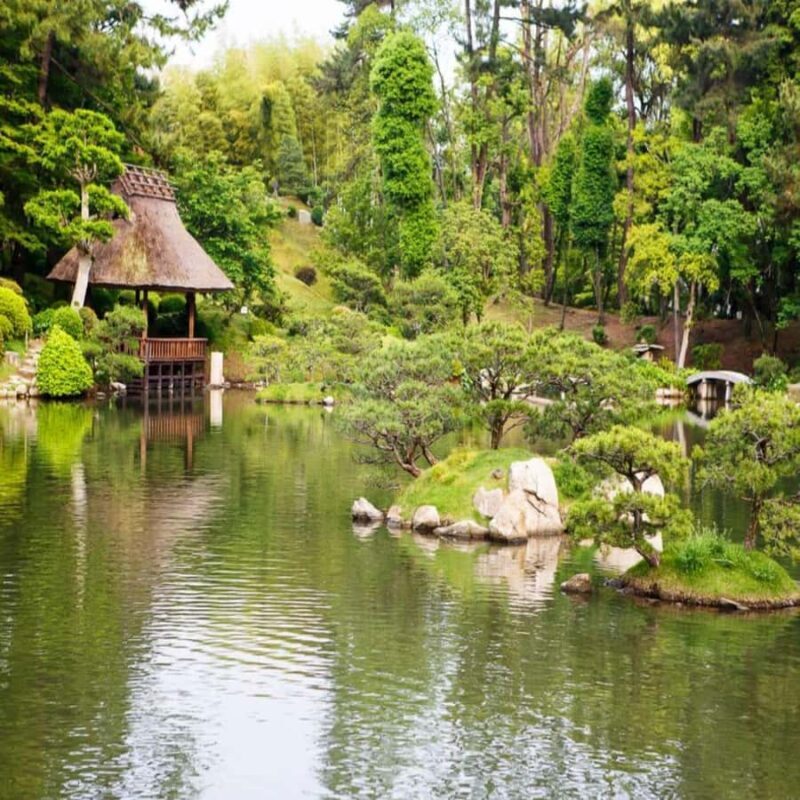 Hiroshima: Private Tour with Miyajima and Peace Park - The Sum Up