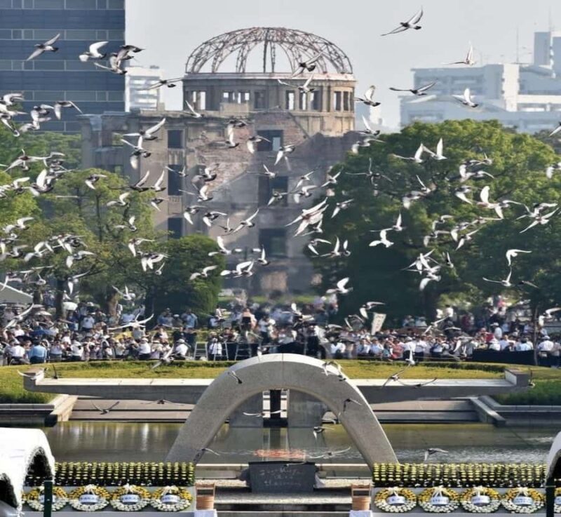 Hiroshima: Private Tour with Miyajima Island & Driver - Good To Know