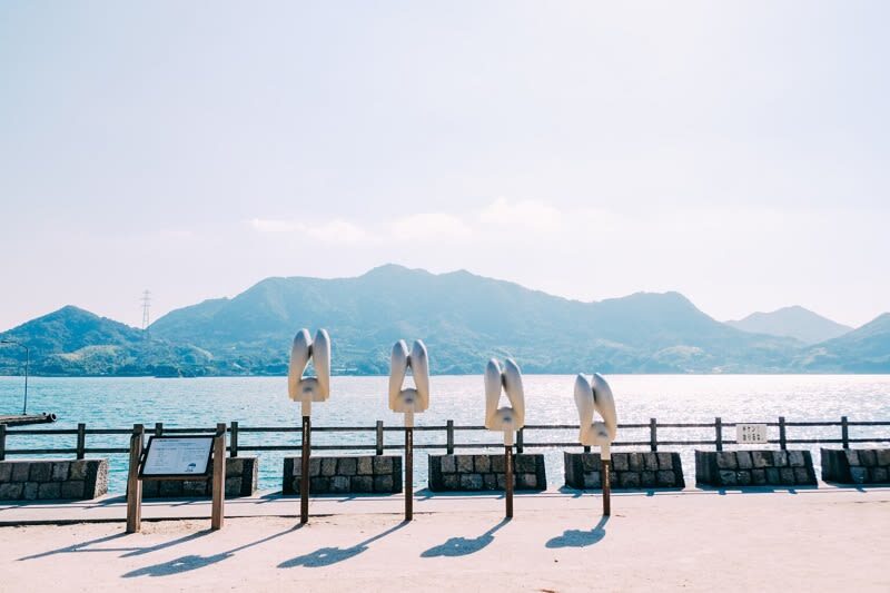 Hiroshima Saijo Sake & Okunoshima Private Full-Day Tour - Meeting Okunoshima’s Free-Roaming Rabbits