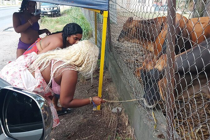 Historic and Scenic Island Tour of Antigua - Good To Know