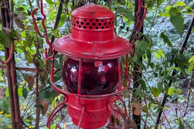 Historic Brothels of Old Toronto Walking Tour - Who Would Love This Tour?