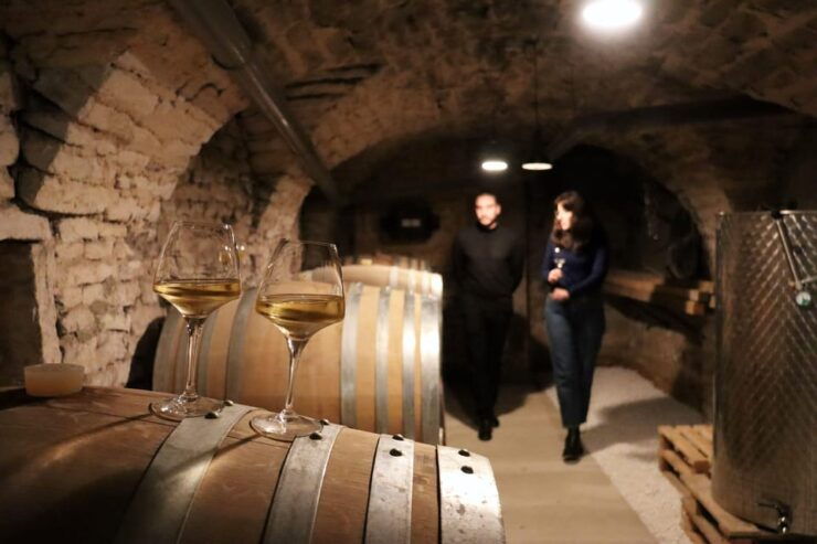 Historic Center of Dijon : Discovery Tasting Wine Burgundy - Wine Tasting Details