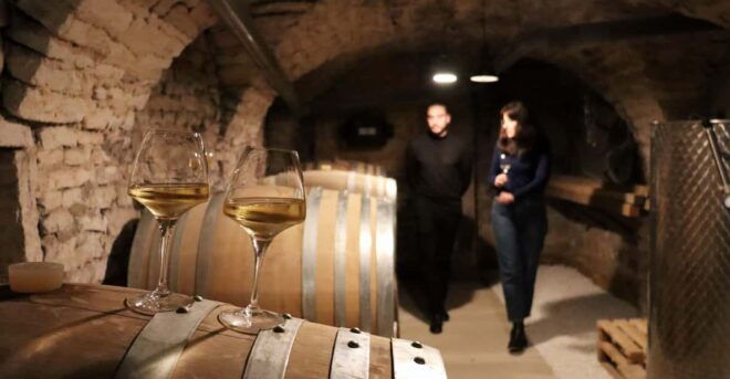 Historic Center of Dijon : Discovery Tasting Wine Burgundy - Customer Ratings and Reviews