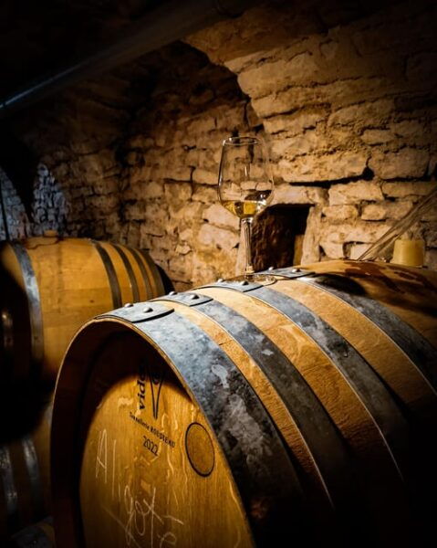 Historic Center of Dijon : Discovery Tasting Wine Burgundy - Booking Information and Policies