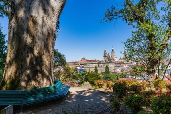 Historic Corners of Santiago De Compostela Walking Tour - Language Options