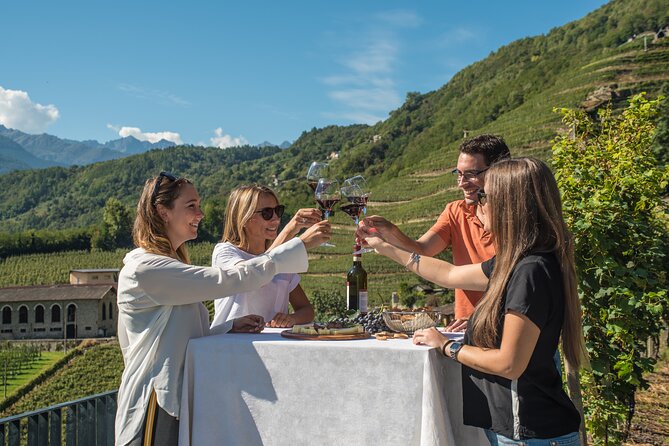 Historic Estate Tour and Wine Tasting in Valtellina - Tour Highlights