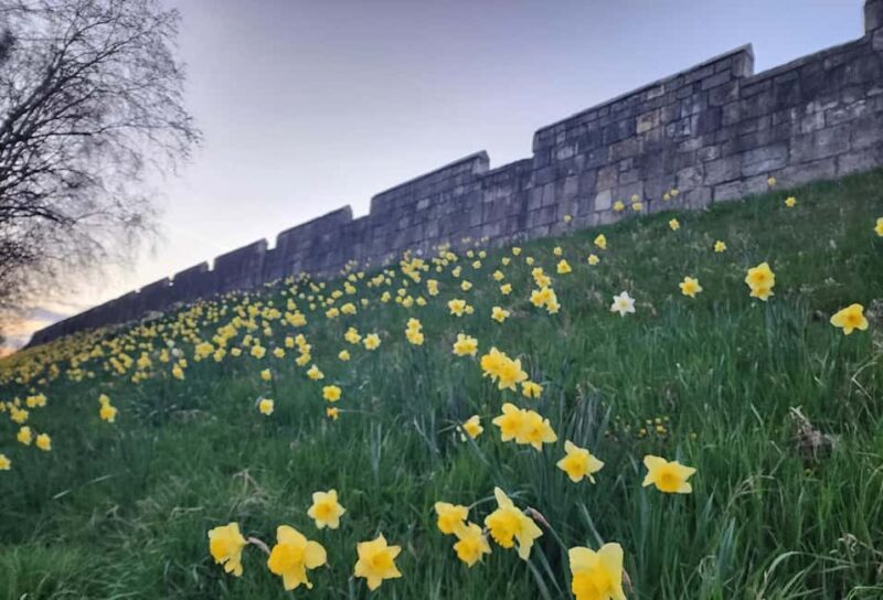 Historic gems of York tour - Final Thoughts
