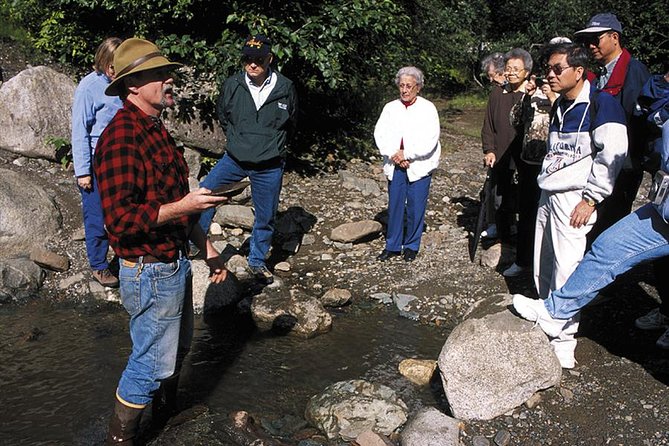 Historic Gold Mining and Panning Adventure - The Sum Up